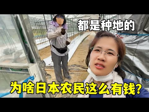 哈里,凯恩金球奖,热门,世界杯预选赛,2026世界杯,赛程安排,预选队伍,最新动态